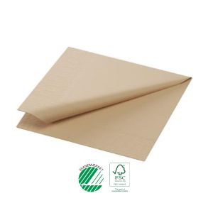 Serviet, 2-lags, 24 x 24 cm, biologisk nedbrydelig