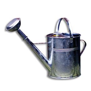 Galvaniseret vandkande 9/10 liter