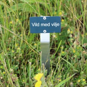 Spyd med Vild med vilje